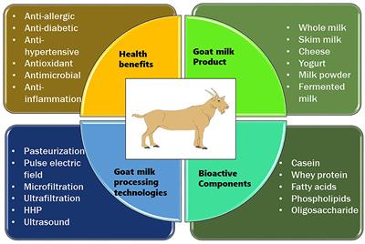 Recent Insights Into Processing Approaches and Potential Health Benefits of Goat Milk and Its Products: A Review